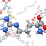 Amino Acids